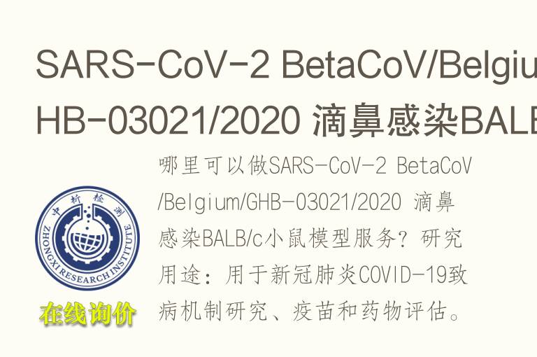 SARS-CoV-2 BetaCoV/Belgium/GHB-03021/2020 滴鼻感染BALB/c小鼠模型