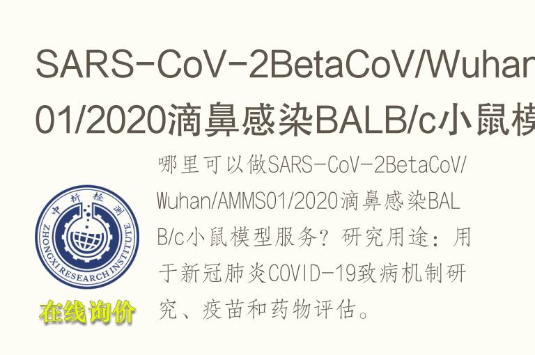 SARS-CoV-2BetaCoV/Wuhan/AMMS01/2020滴鼻感染BALB/c小鼠模型