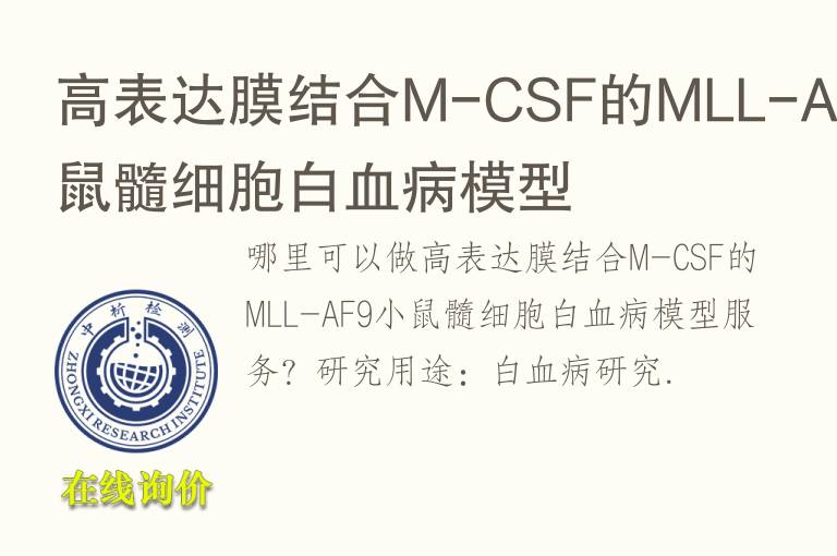 高表达膜结合M-CSF的MLL-AF9小鼠髓细胞白<font color='red'>血</font>病模型